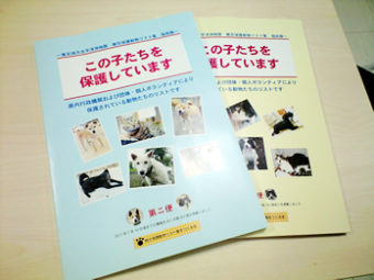 福島より「この子たちを保護しています」(ペットリスト)