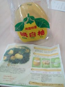 差し入れ「晩白柚」をいただきました!