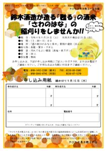鈴木酒造が造る「甦る」の酒米「さわのはな」の稲刈りをしませんか！！